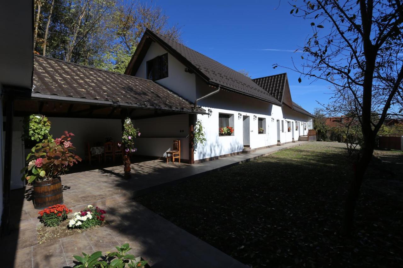 Casa Morii Ohaba Villa Kültér fotó