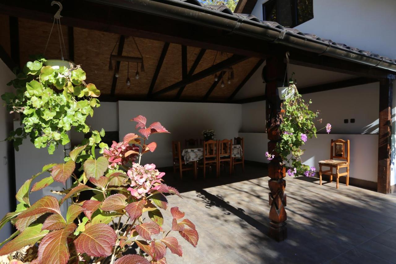 Casa Morii Ohaba Villa Kültér fotó