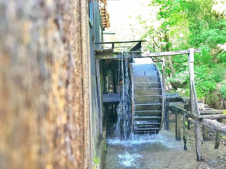Casa Morii Ohaba Villa Kültér fotó