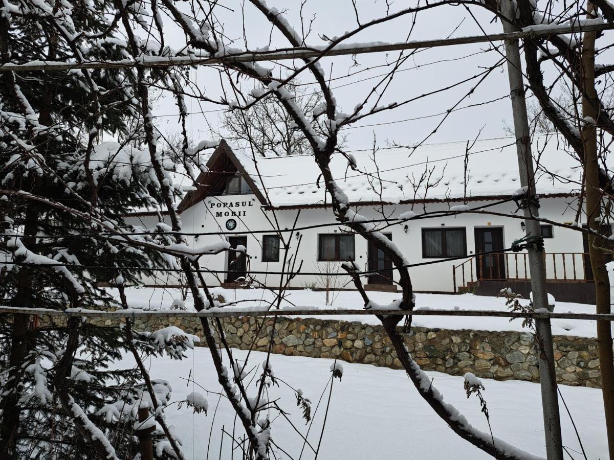 Casa Morii Ohaba Villa Kültér fotó
