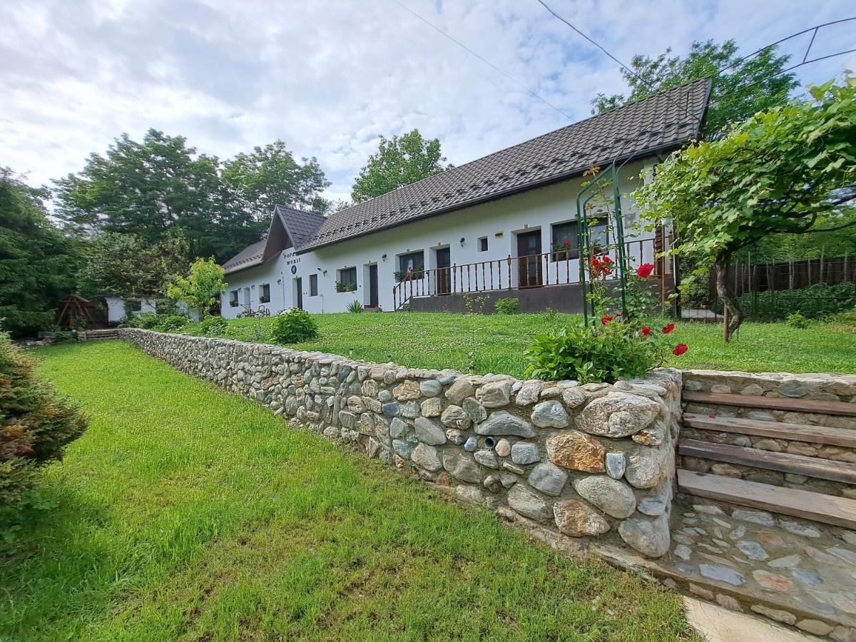 Casa Morii Ohaba Villa Kültér fotó
