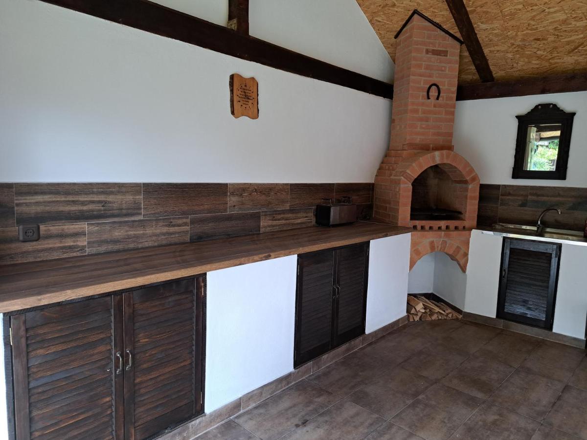 Casa Morii Ohaba Villa Kültér fotó